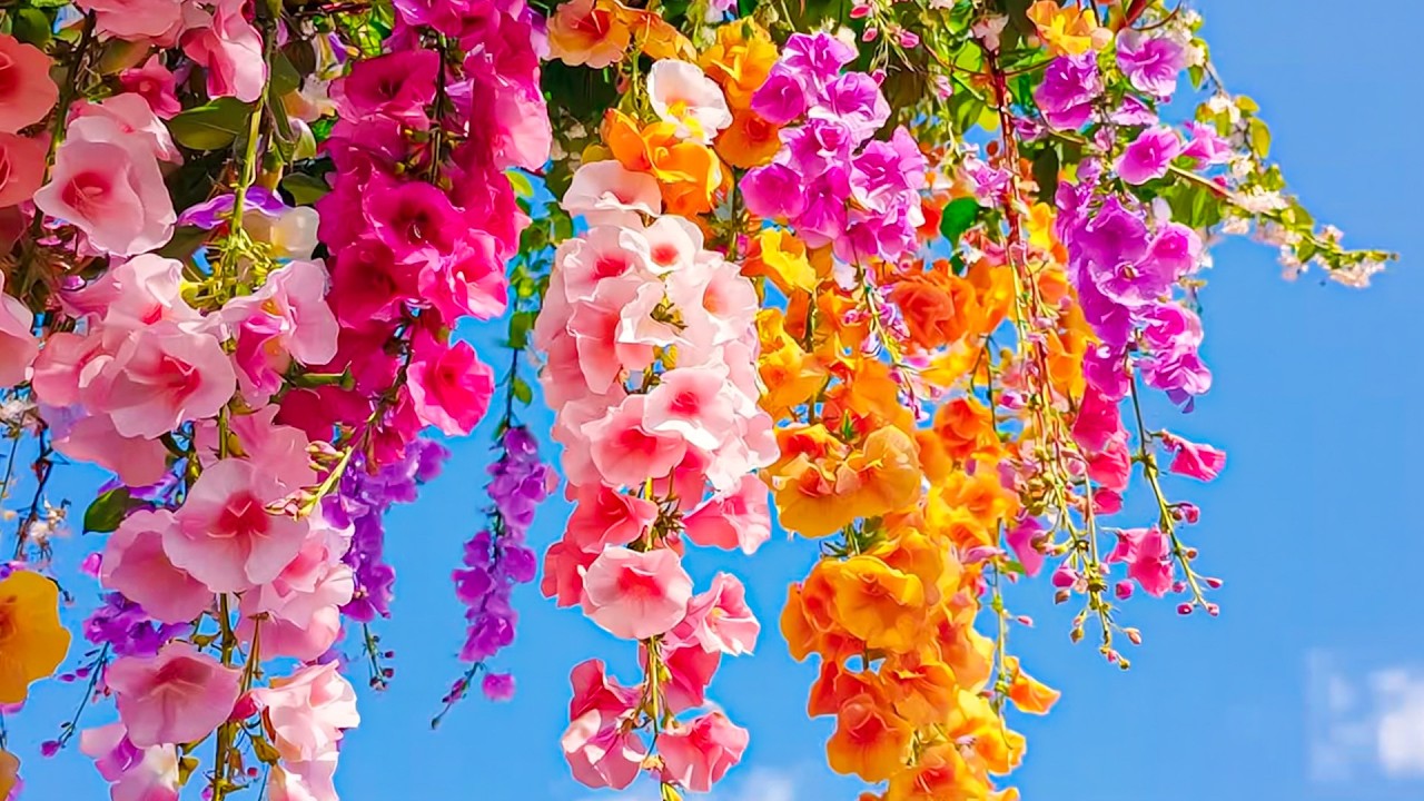 Unwind and Breathe 🎶 Relaxing Music to Calm Your Mind, Alleviate Stress, and Relieve Fatigue