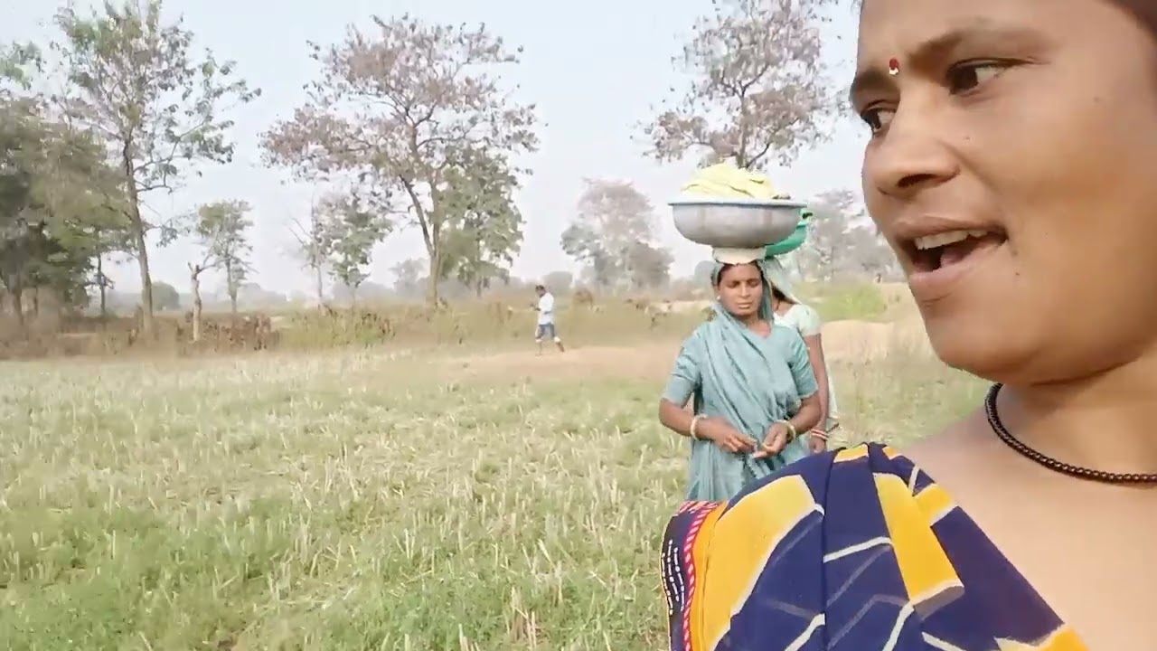 हम लोग खेत जा रहे है#मिनी ब्लॉग#🌾🌲🌴💥🙏🥰