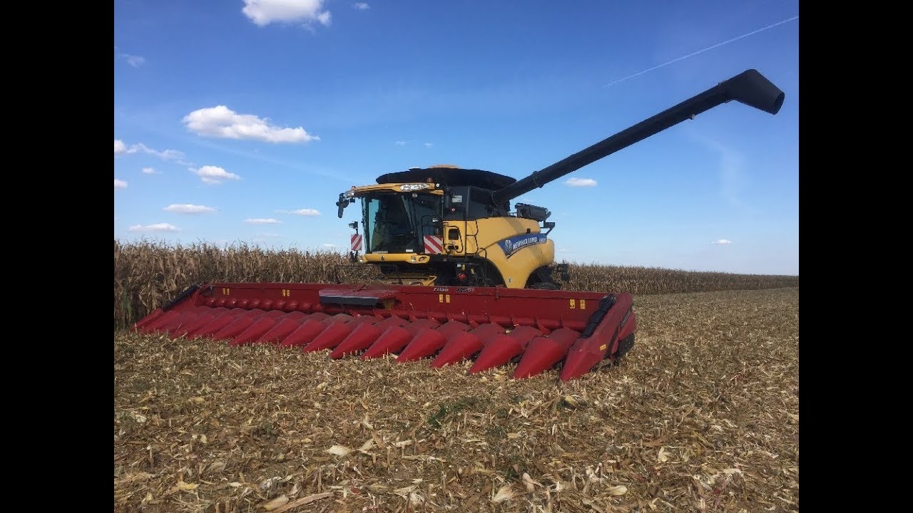 🇫🇷BIG Corn Harvest// NH Cr 9090 16 rangs// CASE afx 8010 12 rangs// NH Cr 8.80 8 rangs