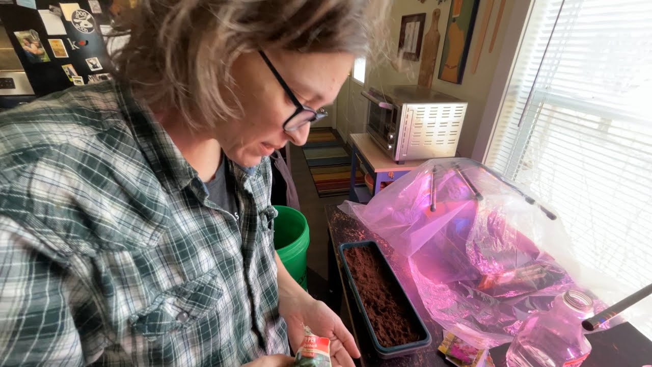 Seeds, Soil, and a bit of Song