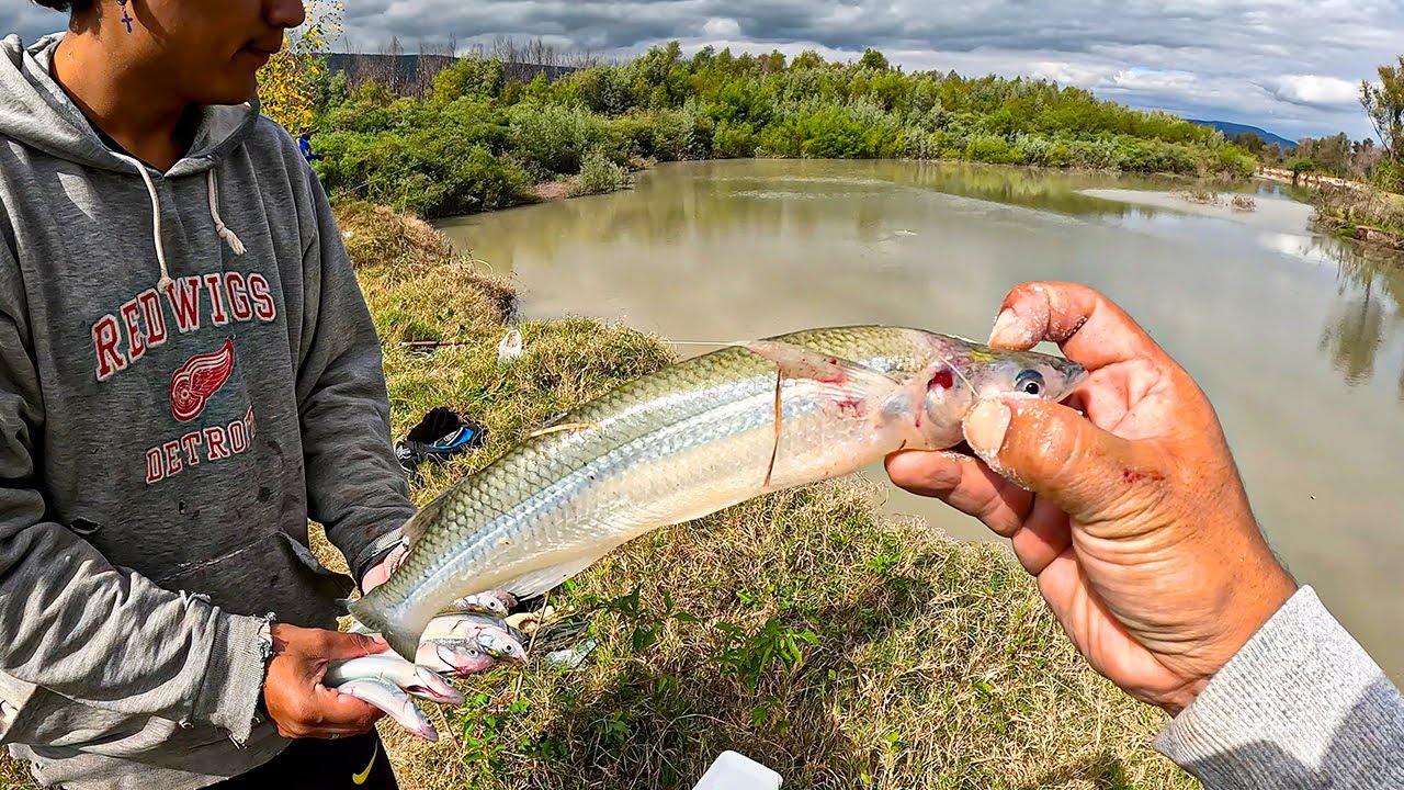 RÍO INFESTADO de PEJERREY y UNA PESCA SOÑADA 🔥 BOYITA TIRO a TIRO