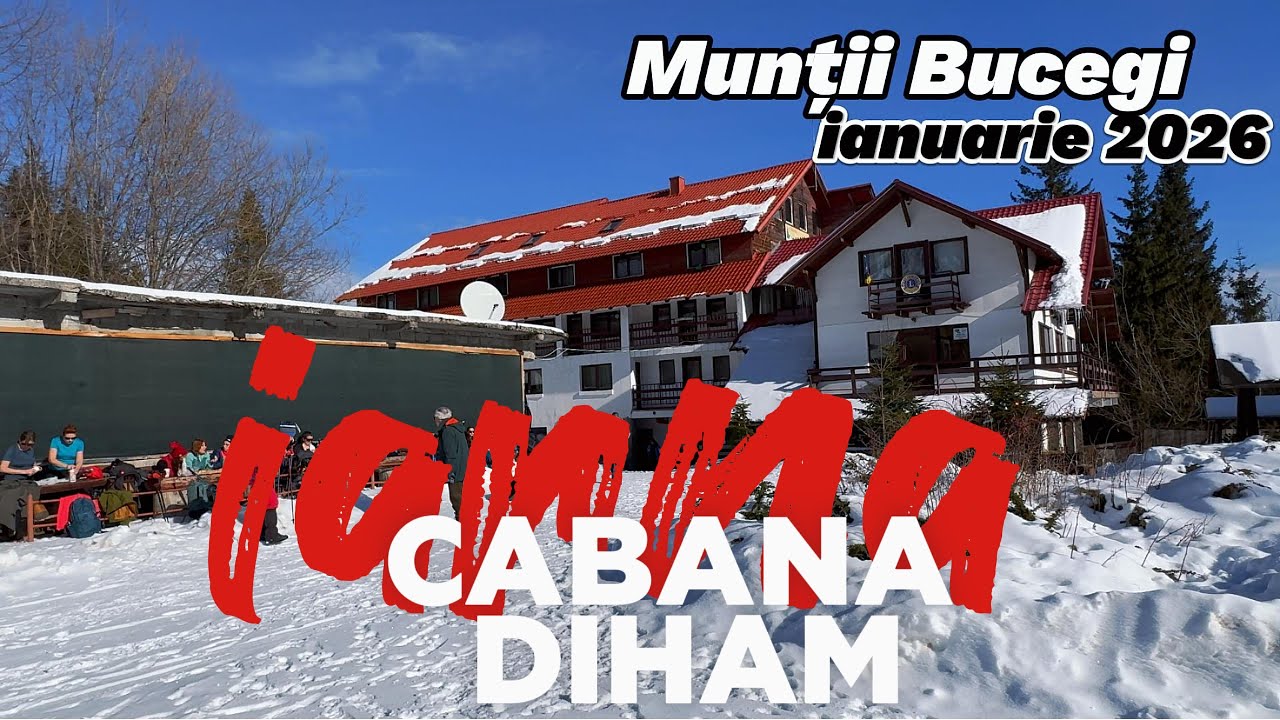 Peisaje FEERICE de iarnă pe TRASEUL Gura Diham - Cabana Diham, Munții Bucegi, ianuarie 2026 #nature