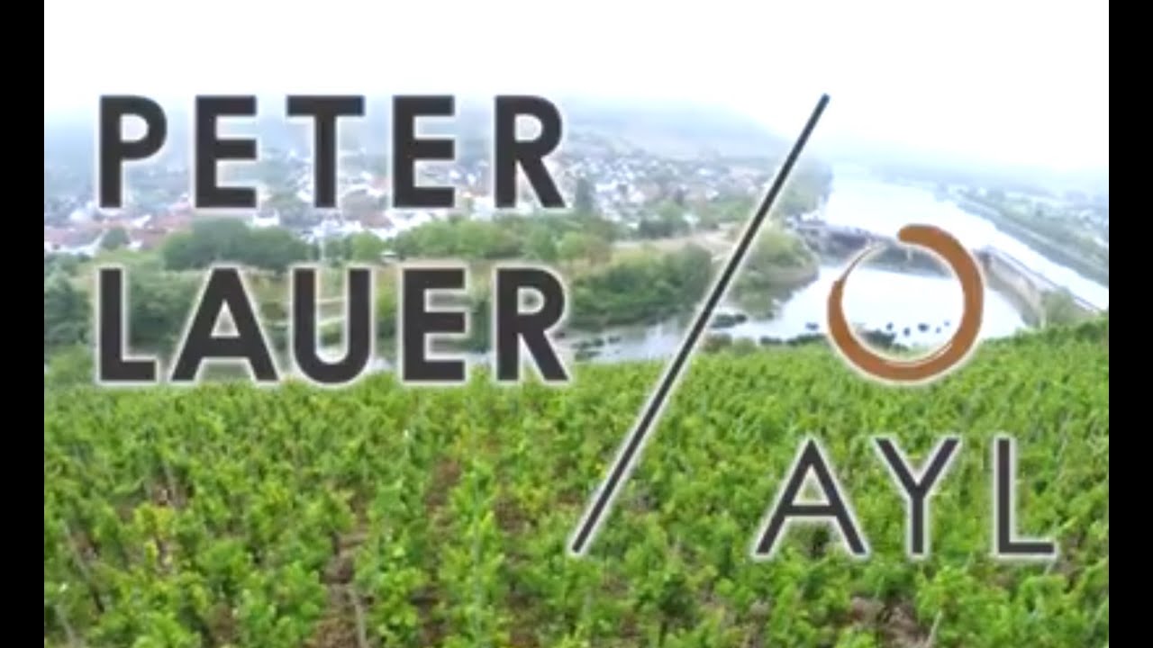 Peter Lauer Weingut, Ayl, Mosel, GERMANY. VINEYARDS AND DRONE