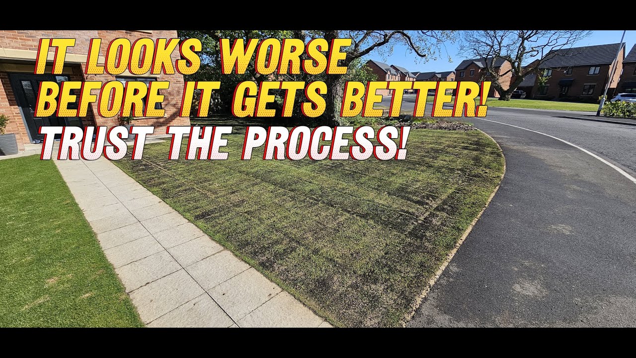 Over Seeding & Sand Levelling Transformation! / Easy Way to Renovate Your Lawn !! / 4K