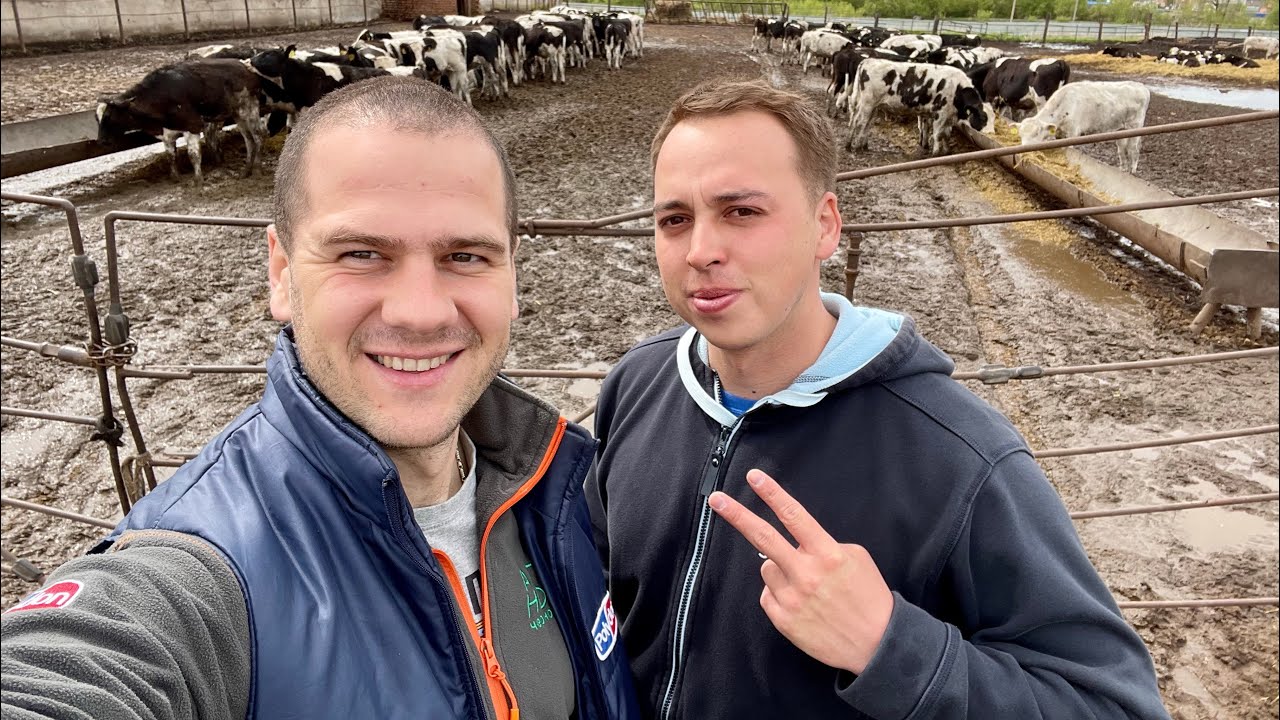 Растениеводство у животноводства. Ильнур Халитов и его люцерна.