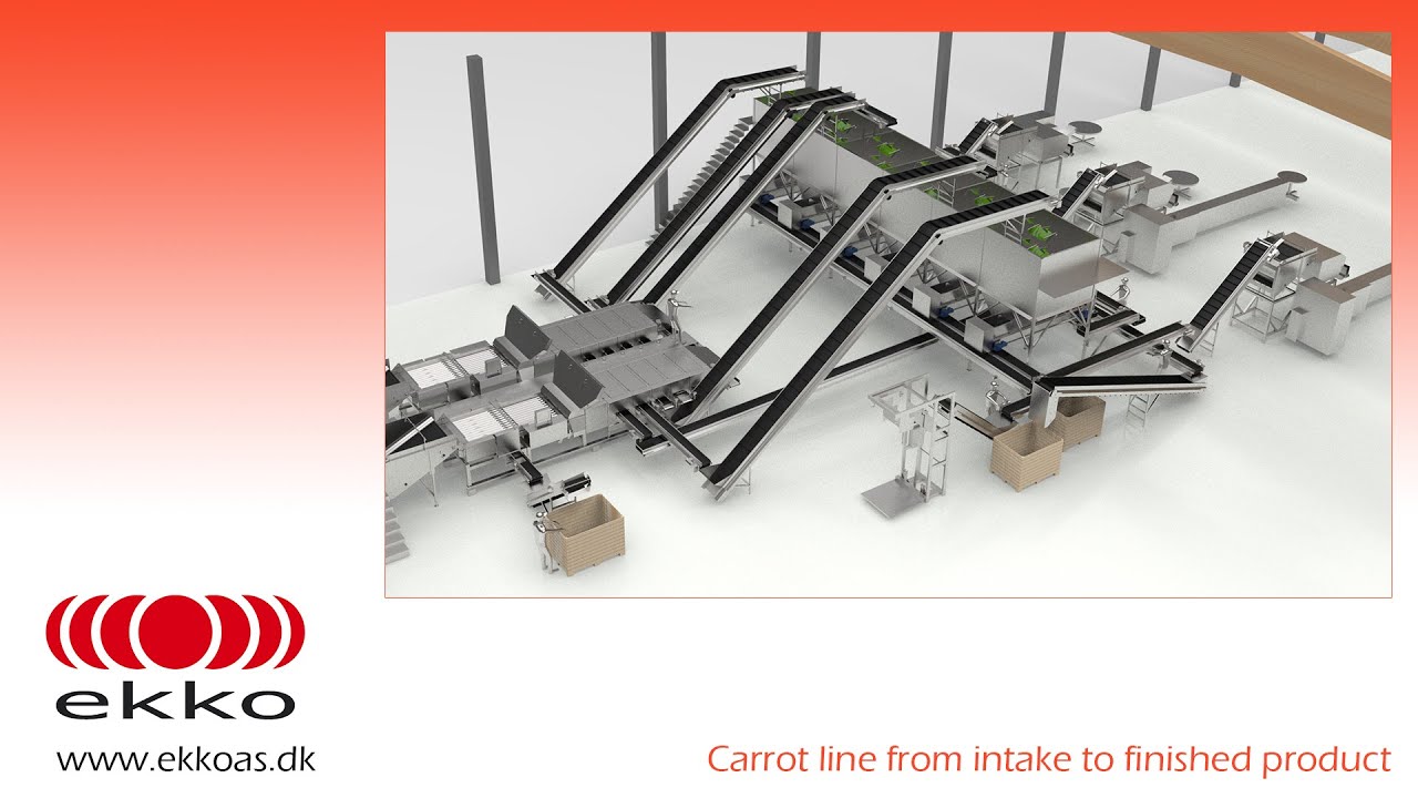 Carrot line from intake to finished product
