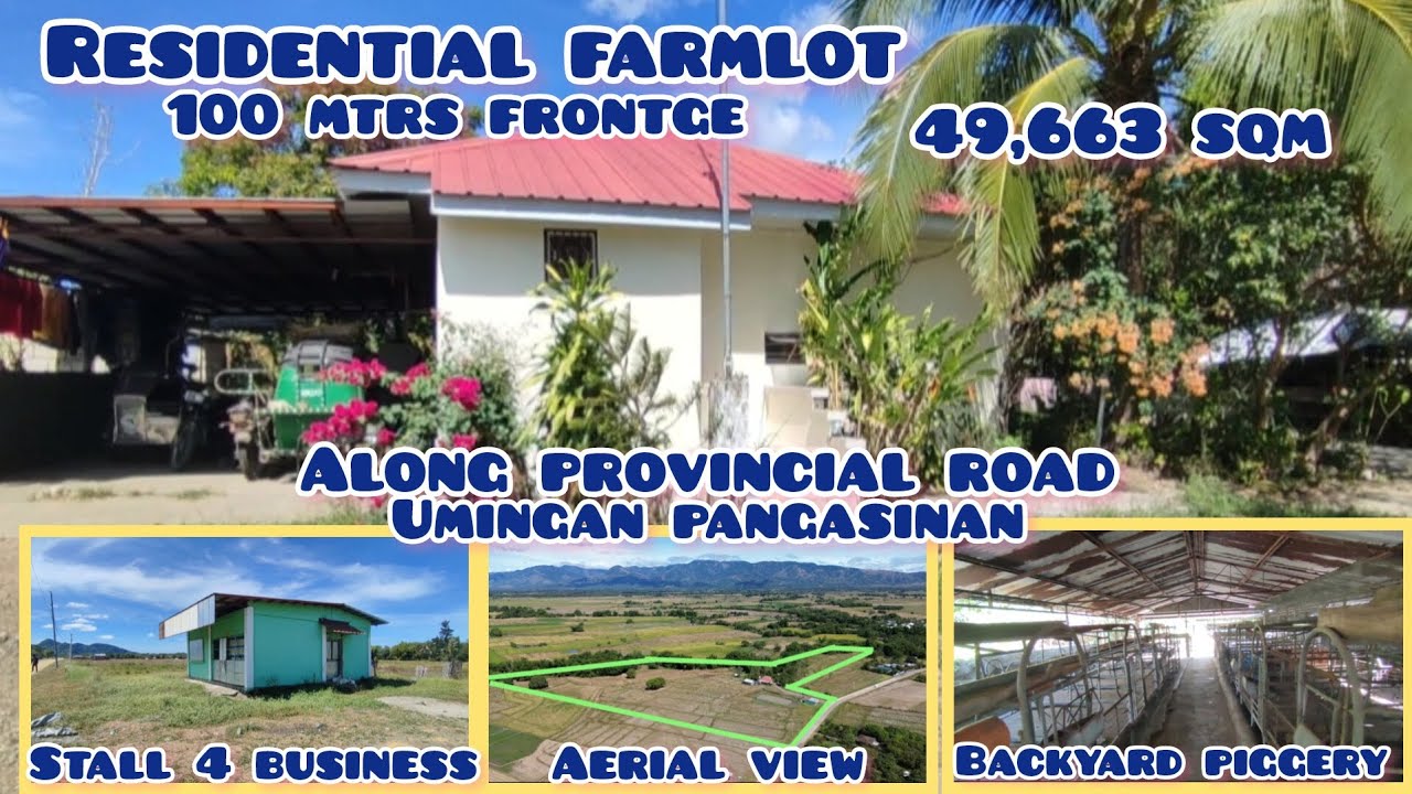 lot 540 Residential farmlot w/ 2house w/stall,w/100 heads capacity piggiry building,ricefield