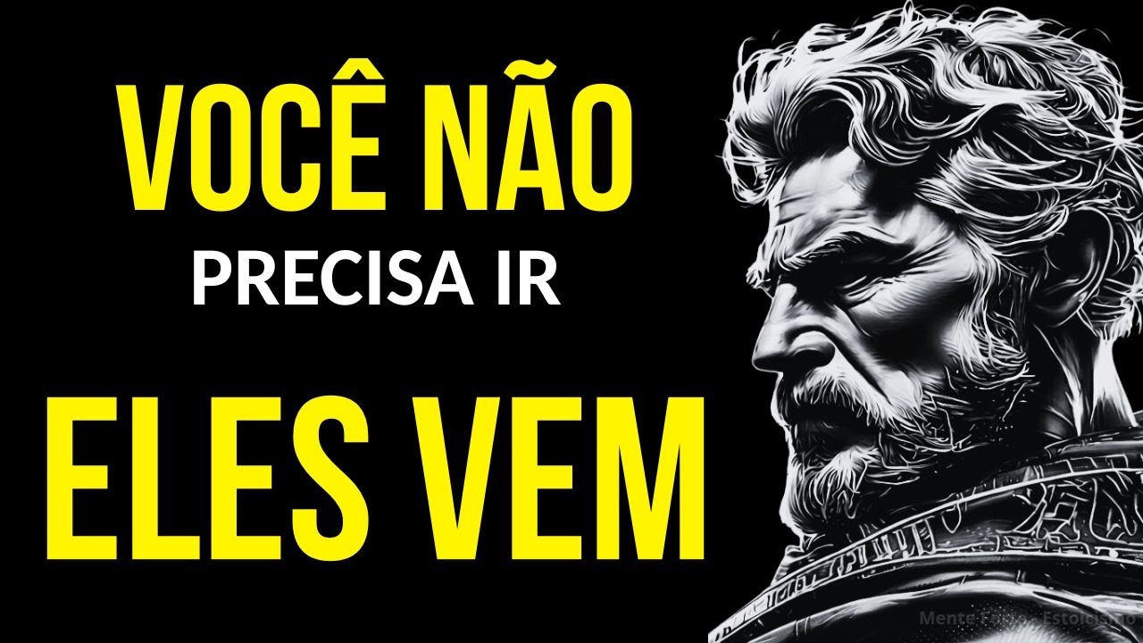 NÃO PERSIGA NADA- LEIS ESTOICAS QUE FAZEM A VIDA TE PROCURAR SOZINHA