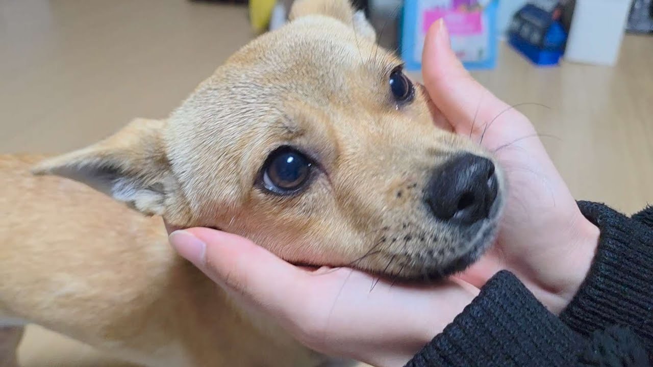 새해 복 많이 받으세요!