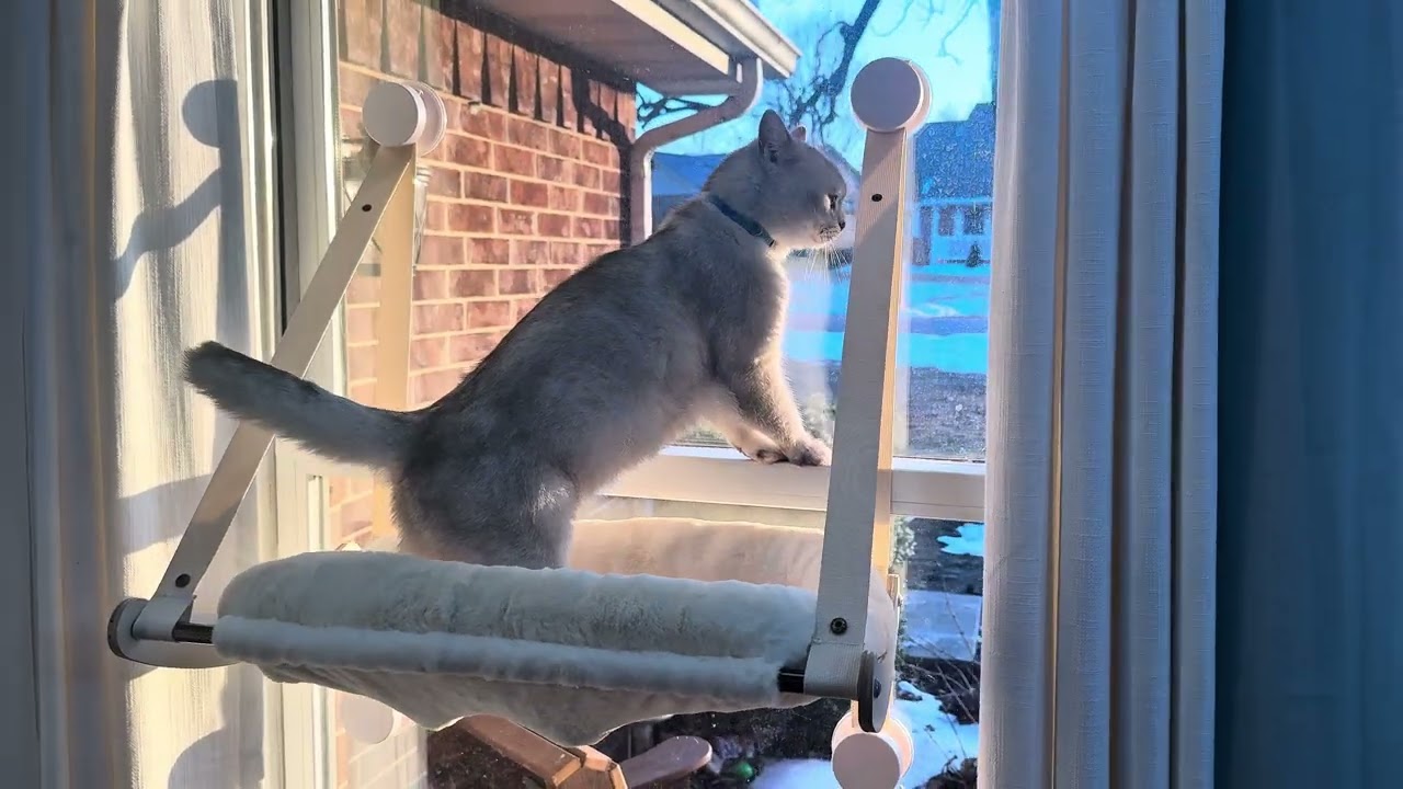 Подставка для кошек Kilodor Cat Window Perch