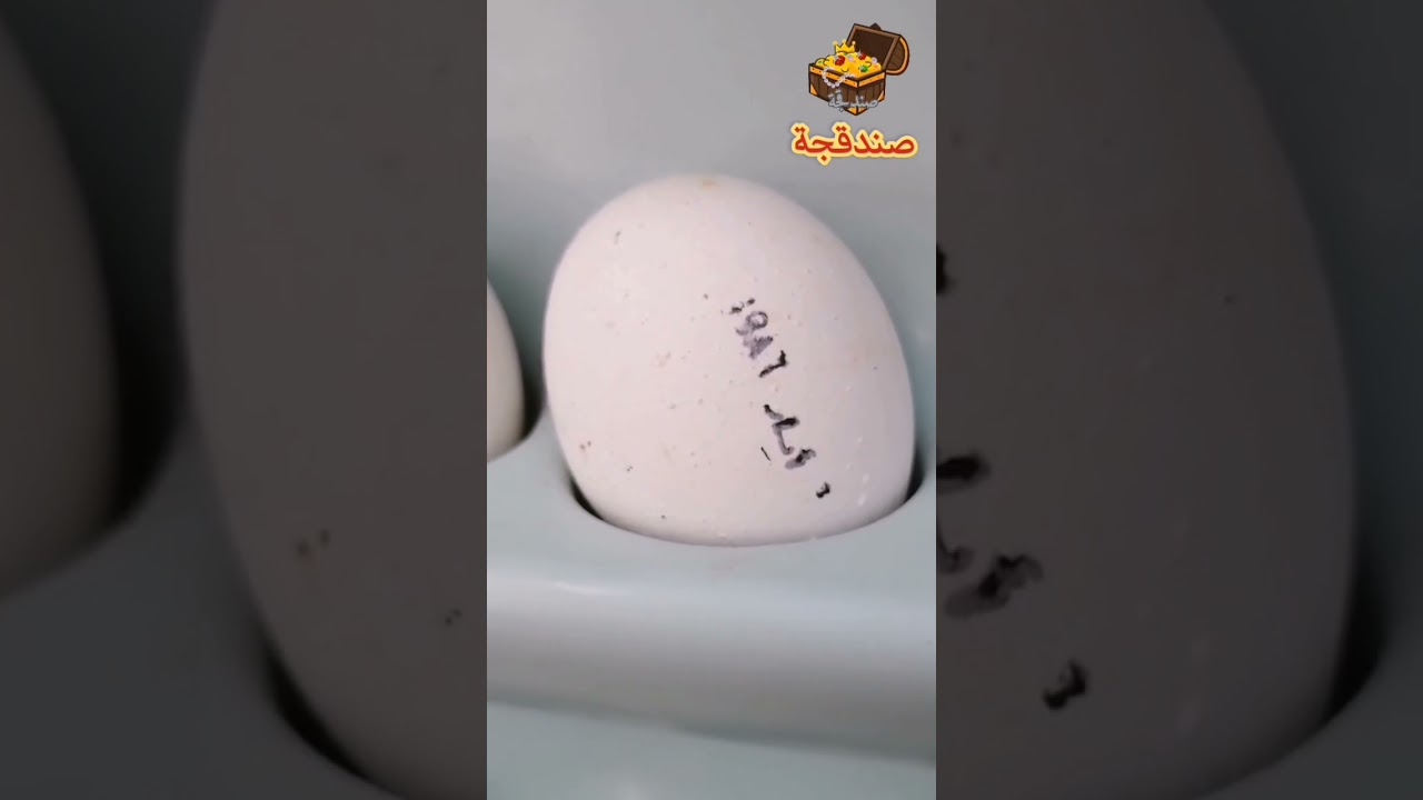 ذكريات جيل الطيبين _ منتجات معمل أبو غريب