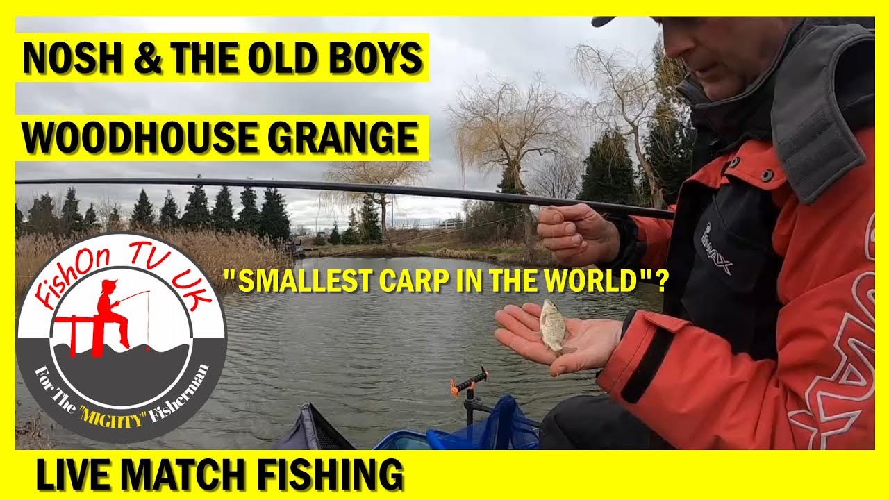 LIVE MATCH FISHING : NOSH & THE OLD BOYS : WOODHOUSE GRANGE : KINGFISHER