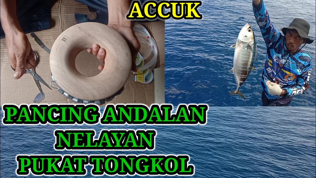 Cara Membuat Pancing Accuk Untuk Memancing Ikan Cakalang/Baby Tuna