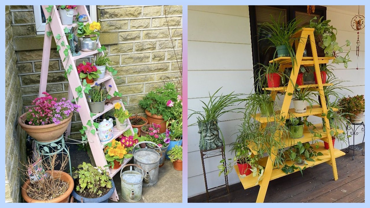 Best Home garden ideas 2026 | Home Garden, trendy best gardening ideas at home, small garden