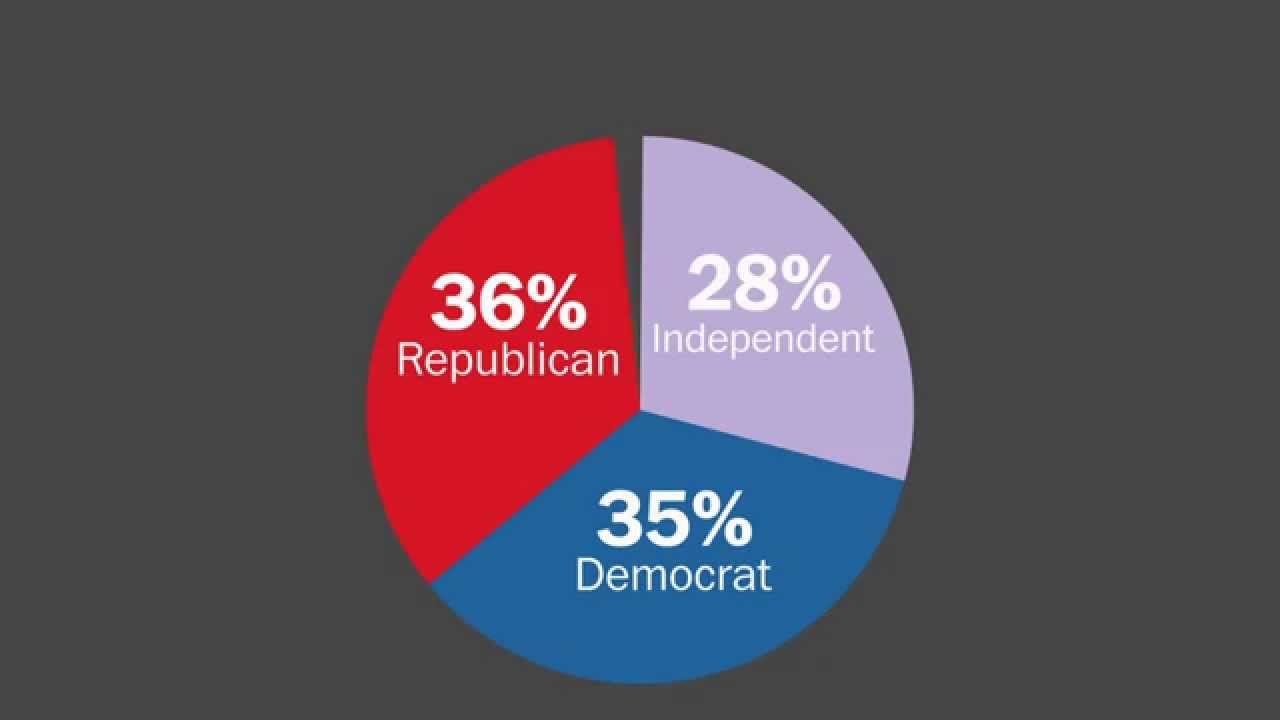 The voters who fueled the 'Republican wave'