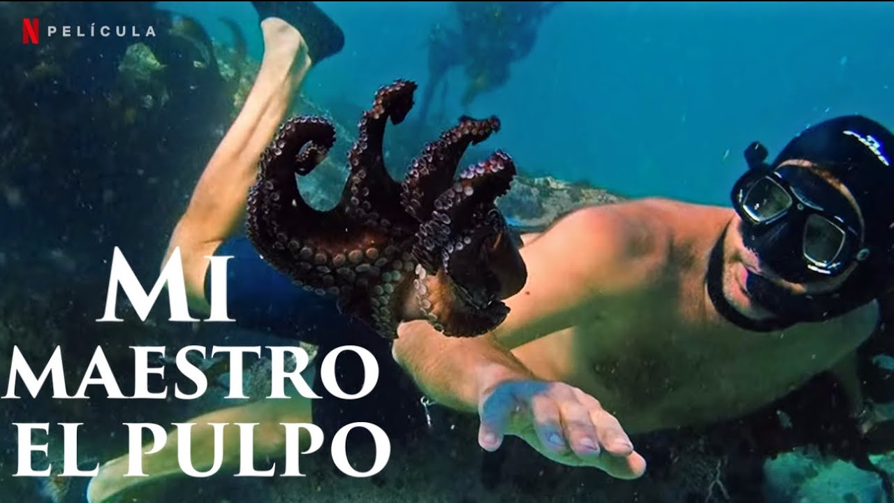 Mi Maestro el Pulpo - Trailer Subtitulado en Espa&ntilde;ol l Netflix