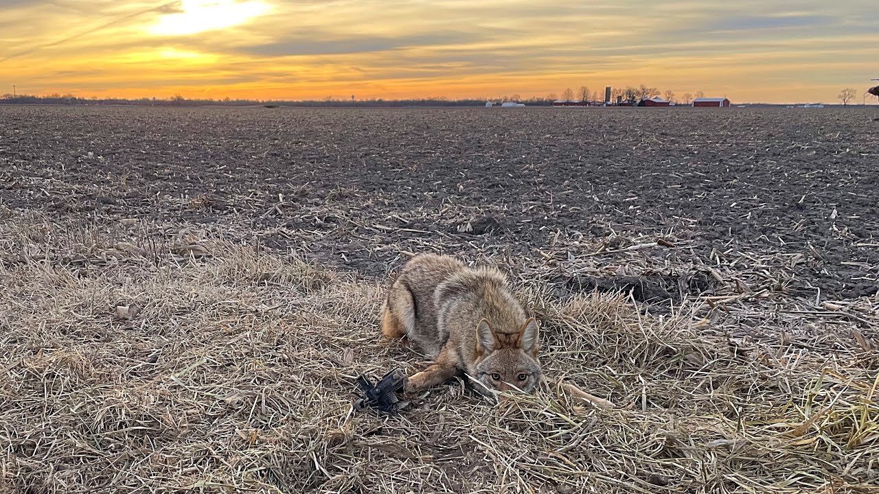 2025-2026 Trapping Season Ep. 15