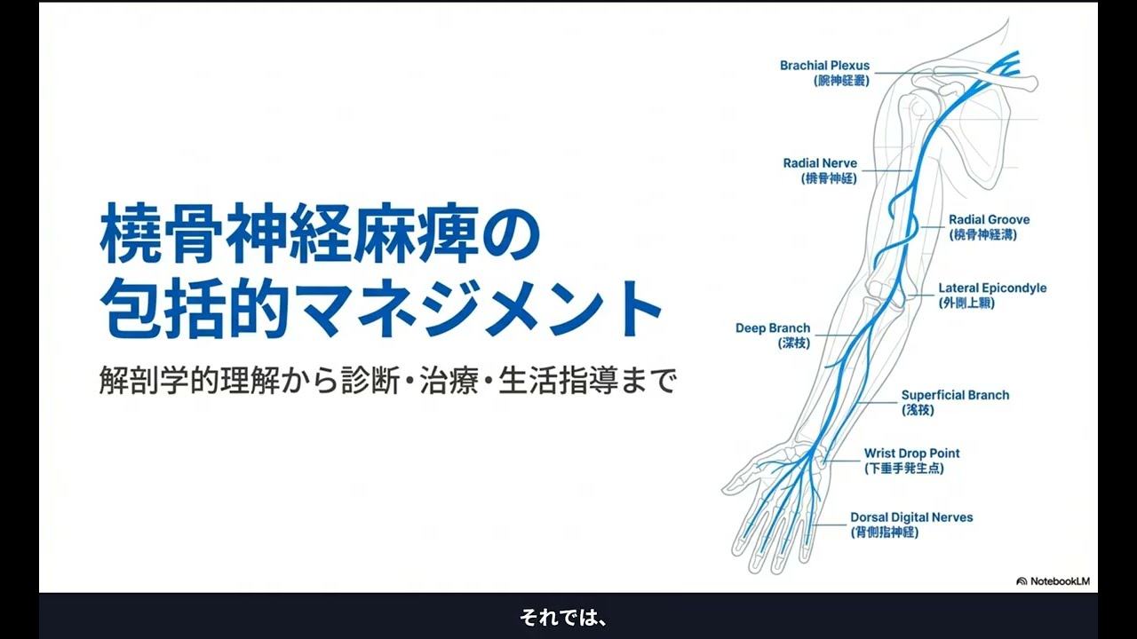 橈骨神経麻痺の完全ガイド 20260123 212427