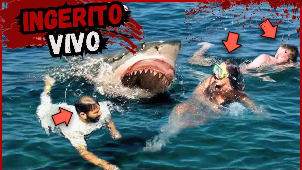 QUESTE 3 PERSONE SONO STATE DIVORATE A MET&Agrave; SENZA PIET&Agrave;!  MARATONA Ep#3