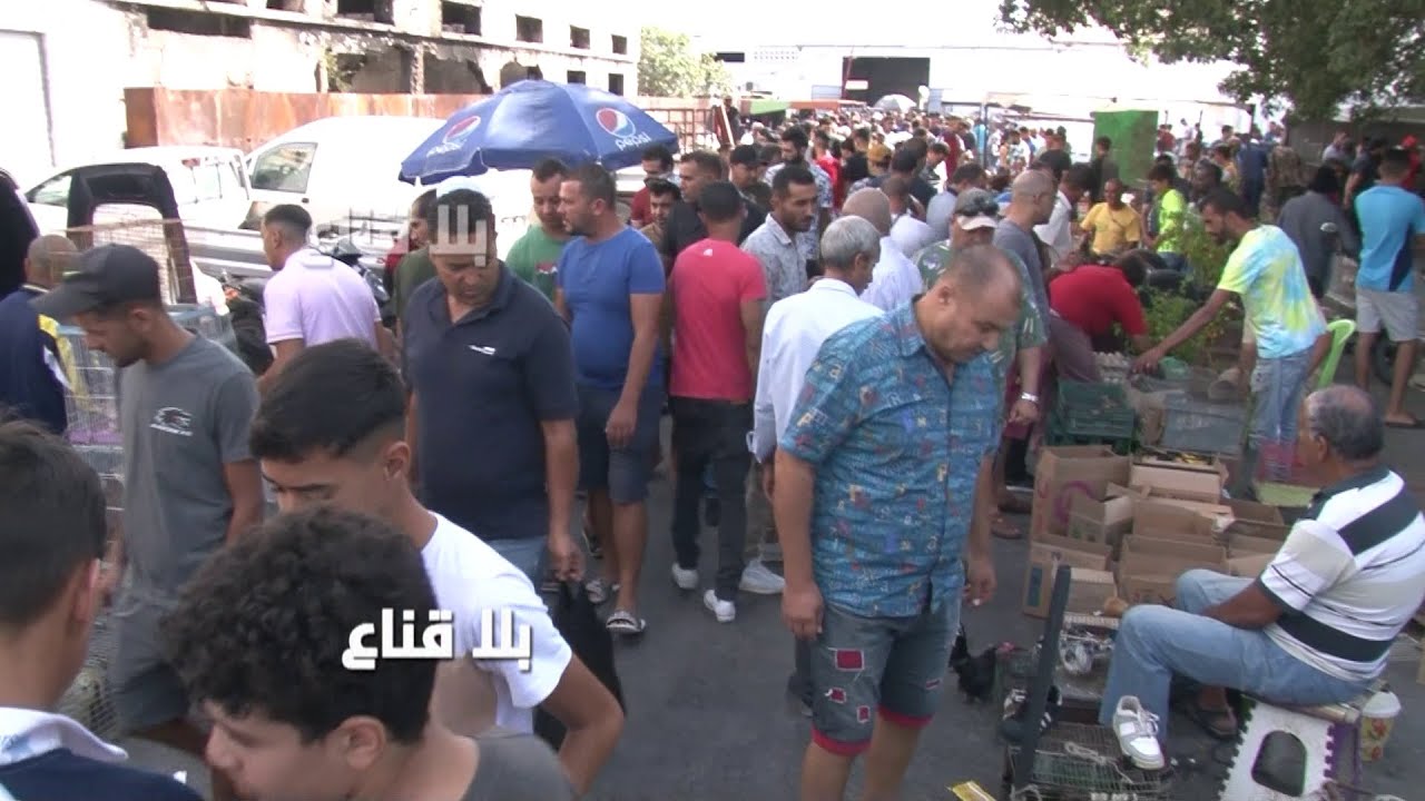 الدجاجة والسردوك بمائة وسبعين دينار؟كل انواع الحيوانات موجودة في المنصف باي من الهامستر للعصفور