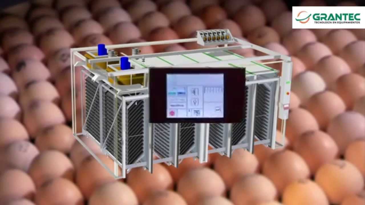 Tecnología en Incubación - Hatchtech Technology