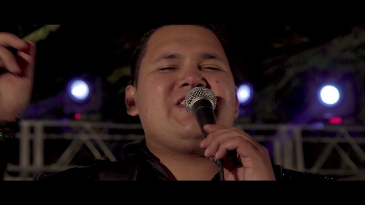 Banda Los Populares Del Llano - Perfecta