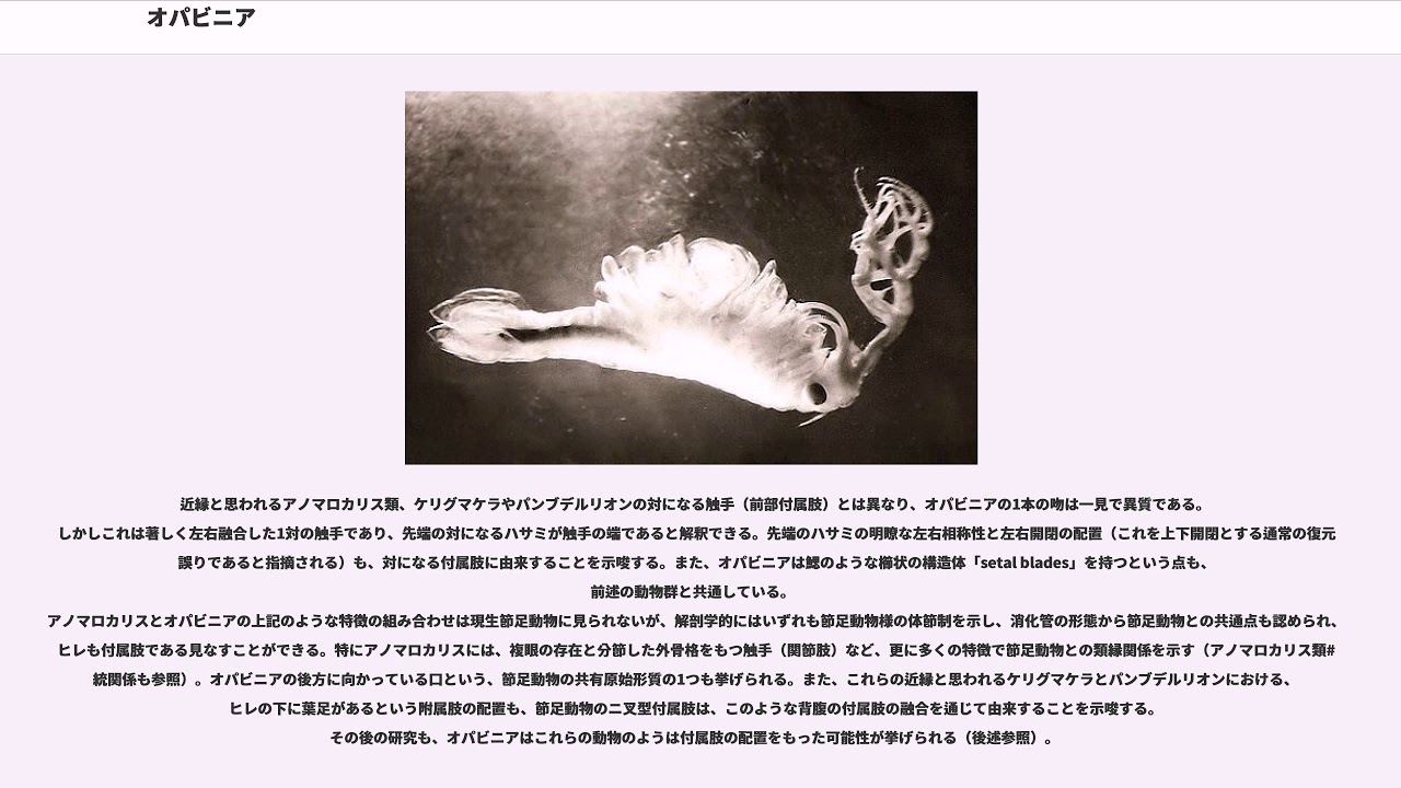 オパビニア