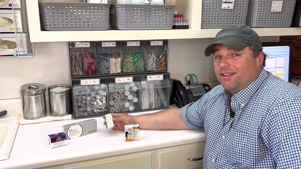 Equine Joint Health Discussion - Steroids and Hyaluronic Acid