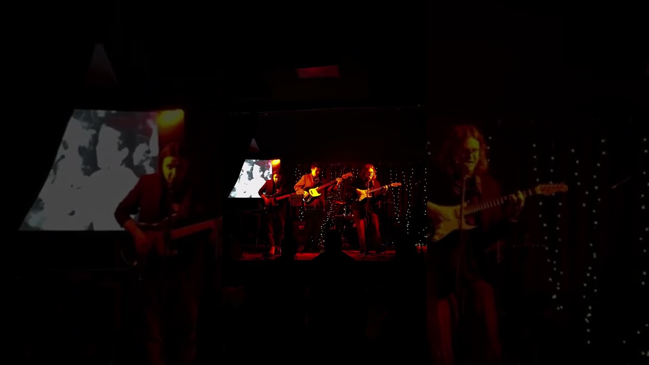 In bloom 15.02.26 MUZcool 