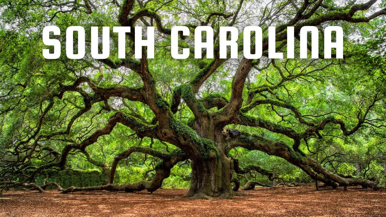 South Carolina Homes & Neighborhoods | Vacation 