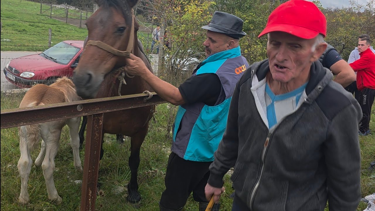 Na vašeru u Jajcu pojavio se i Zmaj od Šipova 