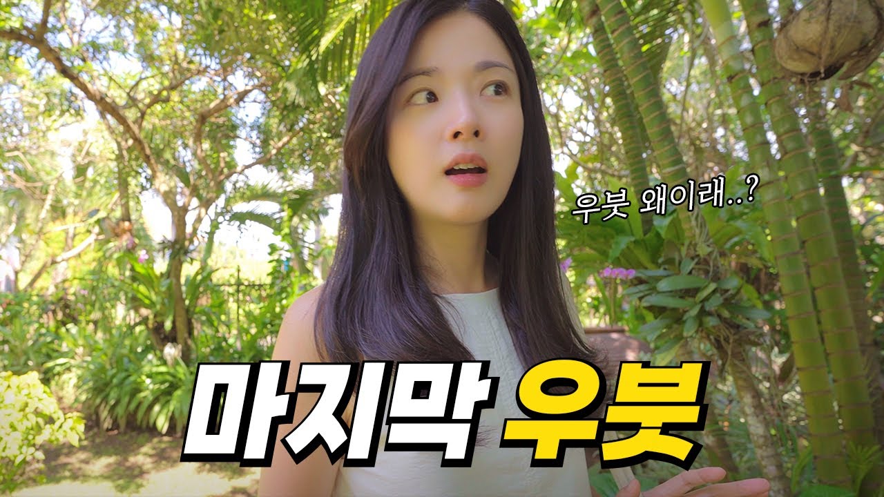한국인 발리 필수 코스라는 우붓, 이제 마지막이 될 것 같아요