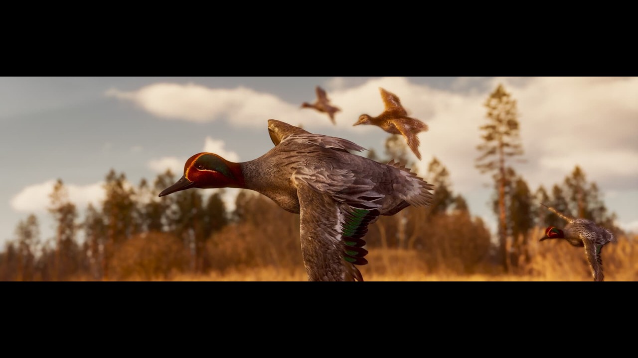 BULT HUNTİNG SİMULATOR ördek avı