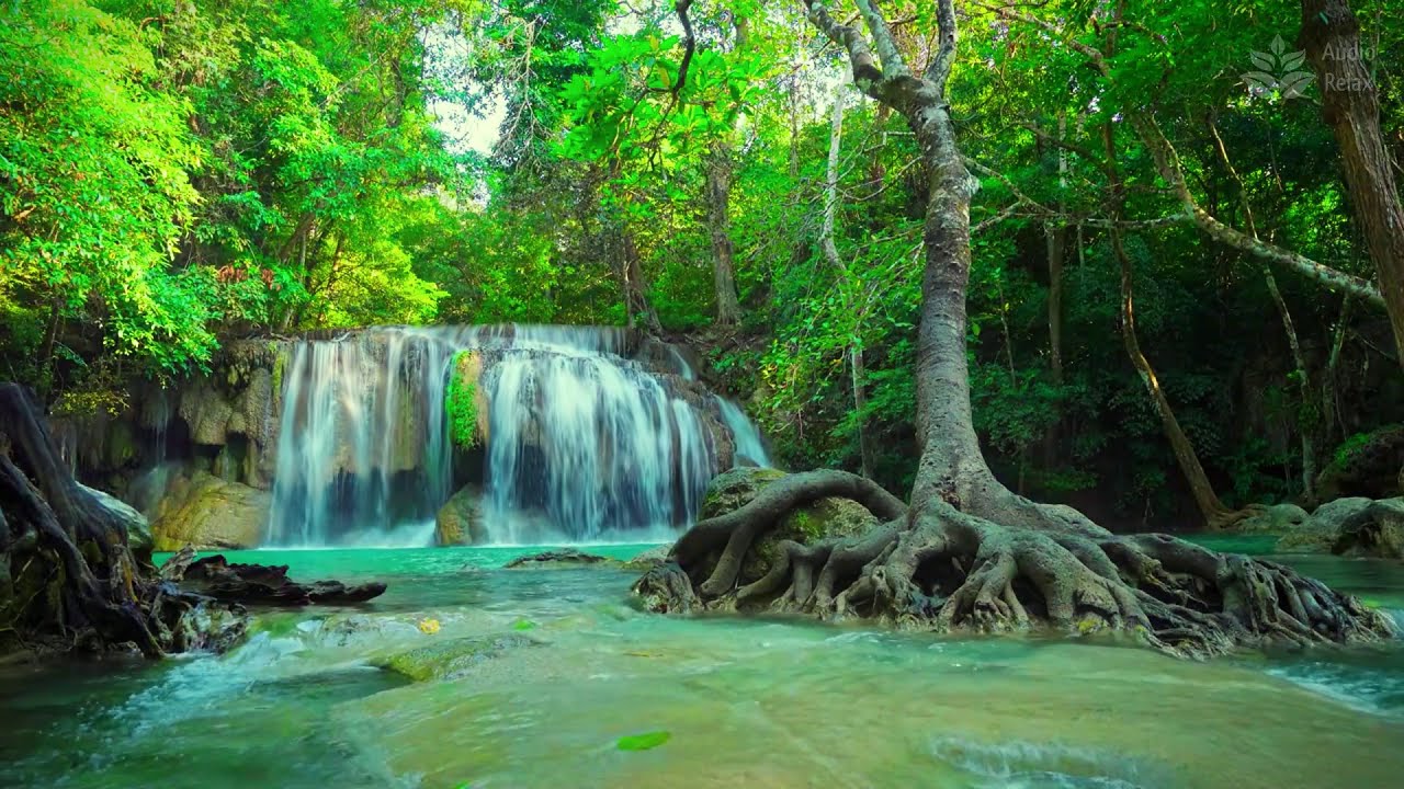 Beautiful Thai Waterfall: 10 Hours of Soothing Jungle River Sounds