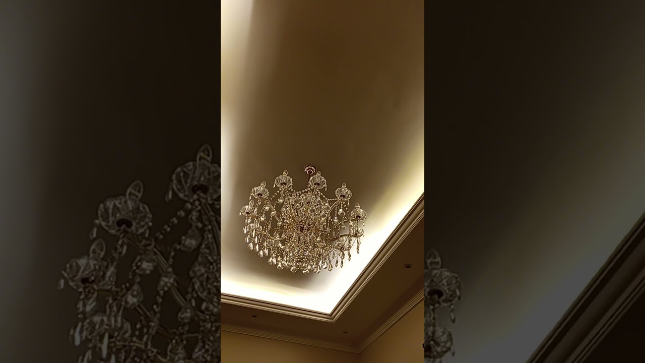 Flowers #beautiful #asmr #fypnow