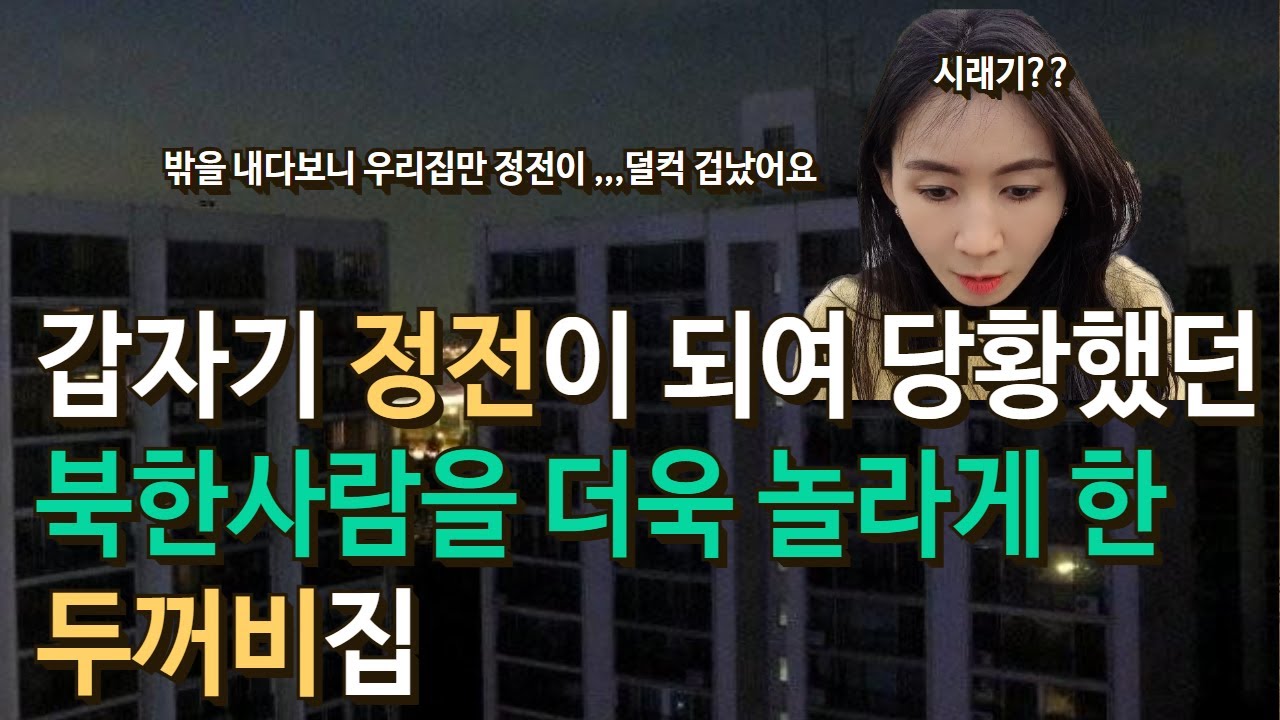 집에 에어컨 설치를 하러 온 기사님의 질문에  답변을 할 수가 없었던 북한여자