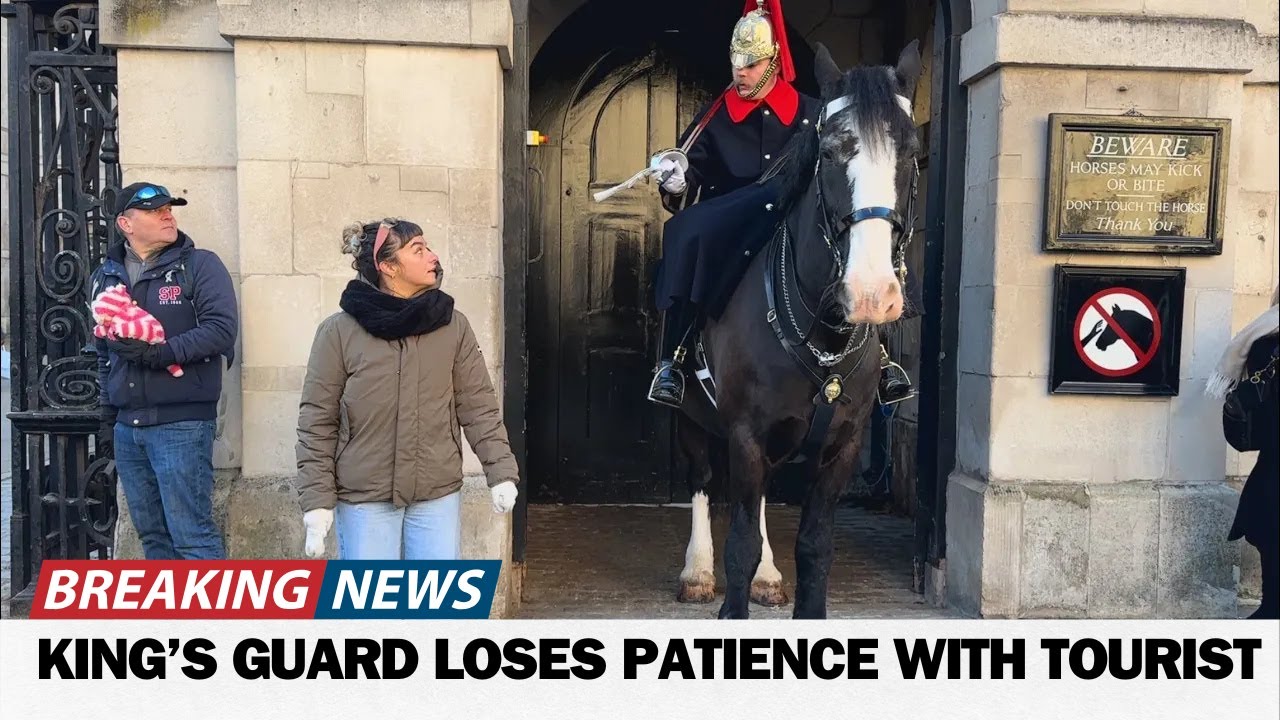 Oi, Get Out!’ King’s Guard Loses Patience with Tourist in the Box!