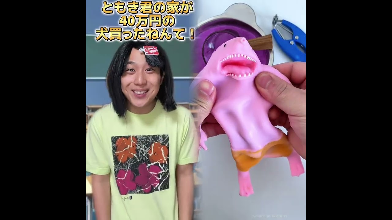 POV 最高の作品  🥉ASMR リラックスストーリーコレクション | TikTok の POV コレクション