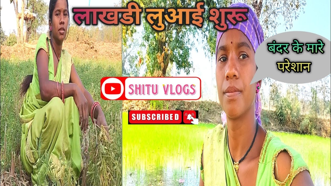  आज से  मोर काम लाखड़ी लुआई #shituvlog #