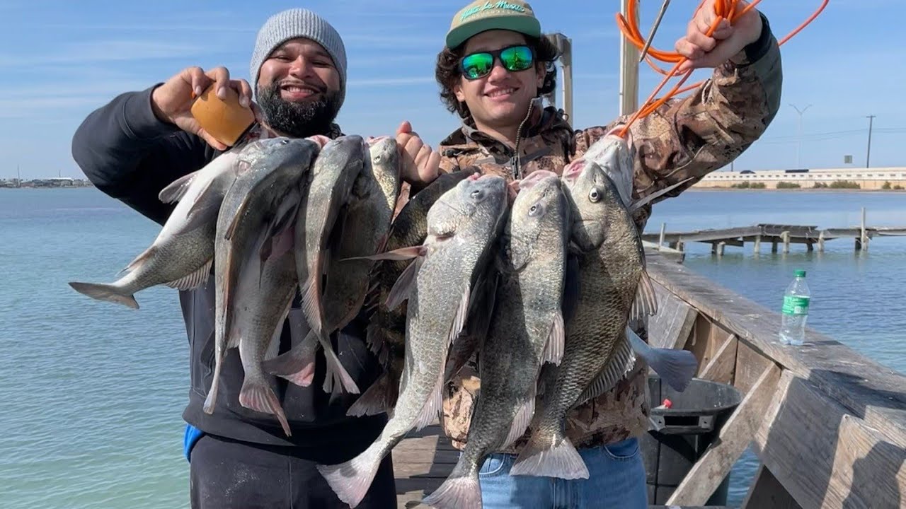 Pier Fishing for black drum (ez Limits) Catch and Cook * Corpus Christi Tx