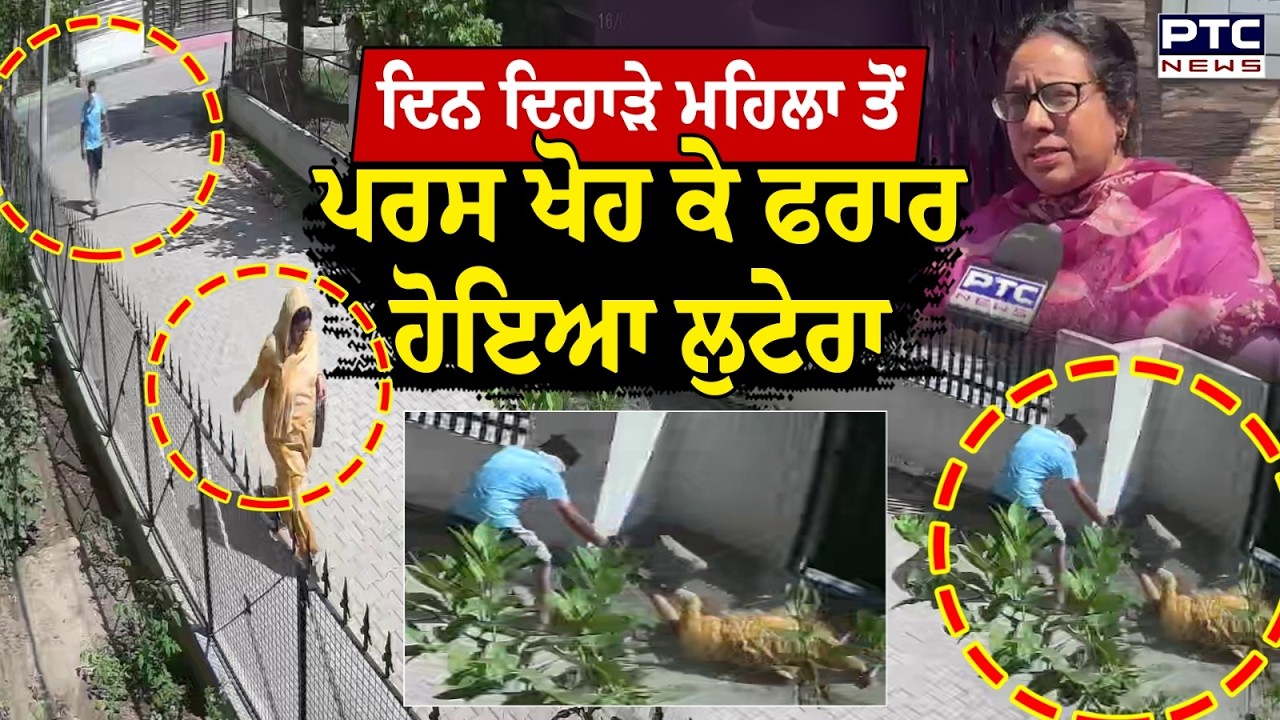 Ropar News : ਸੁਣ ਲੈਣ ਭਗਵੰਤ ਮਾਨ, ਇਹ ਨੇ ਪੰਜਾਬ &rsquo;ਚ ਹਾਲਾਤ, ਲੁਟੇਰਾ ਪਰਸ ਖੋਹ ਕੇ ਹੋਇਆ ਫਰਾਰ !