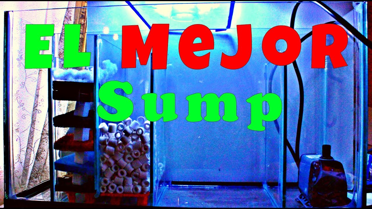 Filtro sump para agua dulce
