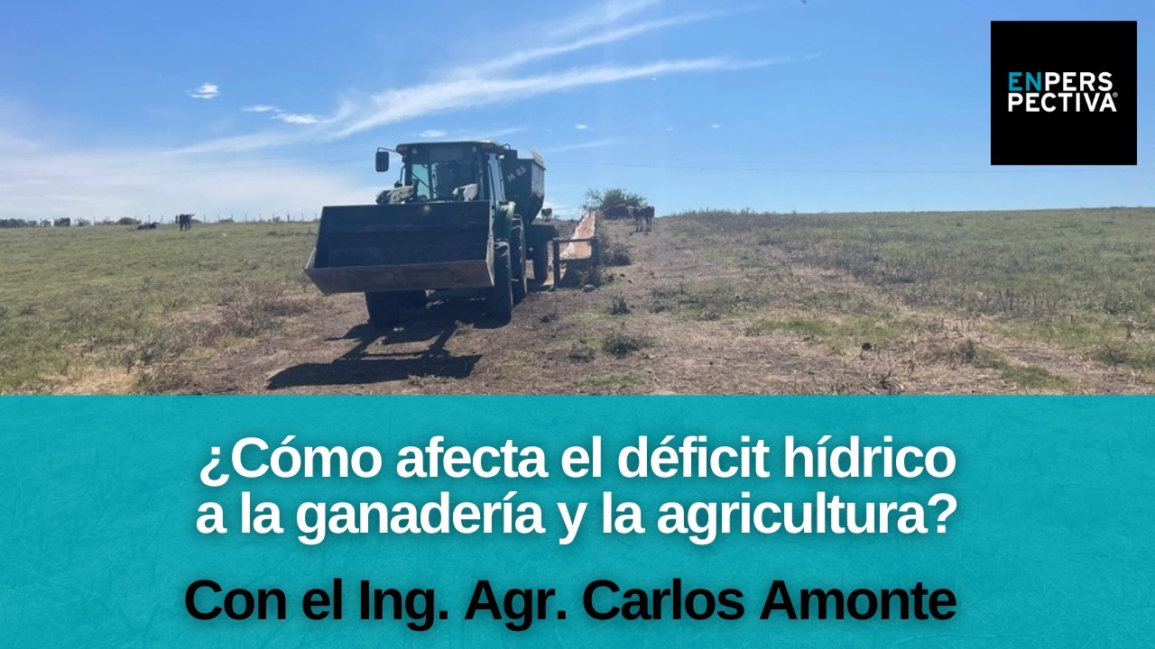 Sequía o déficit hídrico: ¿Cuál es la situación hoy en Uruguay? ¿Cómo manejar los rubros afectados?