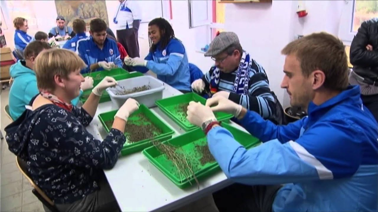 Hansa Rostock zu Besuch beim 