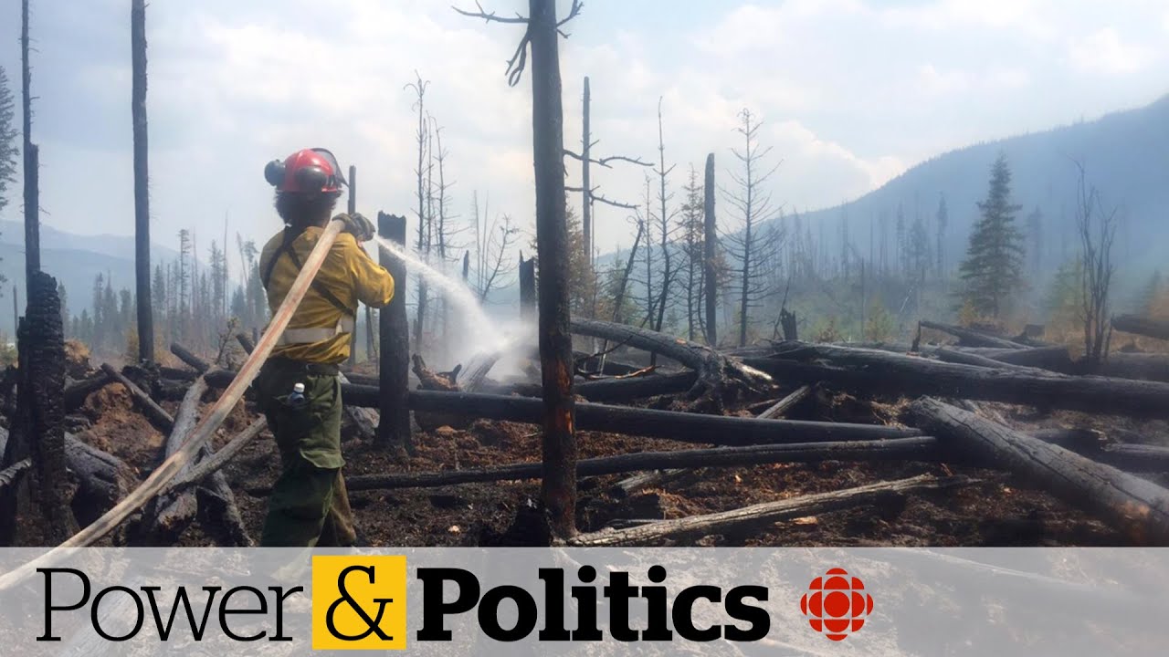 Four northern Indigenous communities facing significant losses from Alberta wildfires