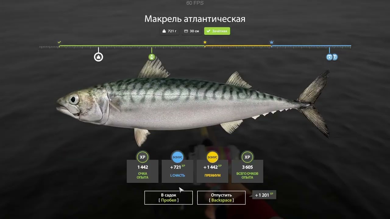 Ч.87(2).Драсти,драсти-забор покрасти... 😉🖖.Поплыли дальш