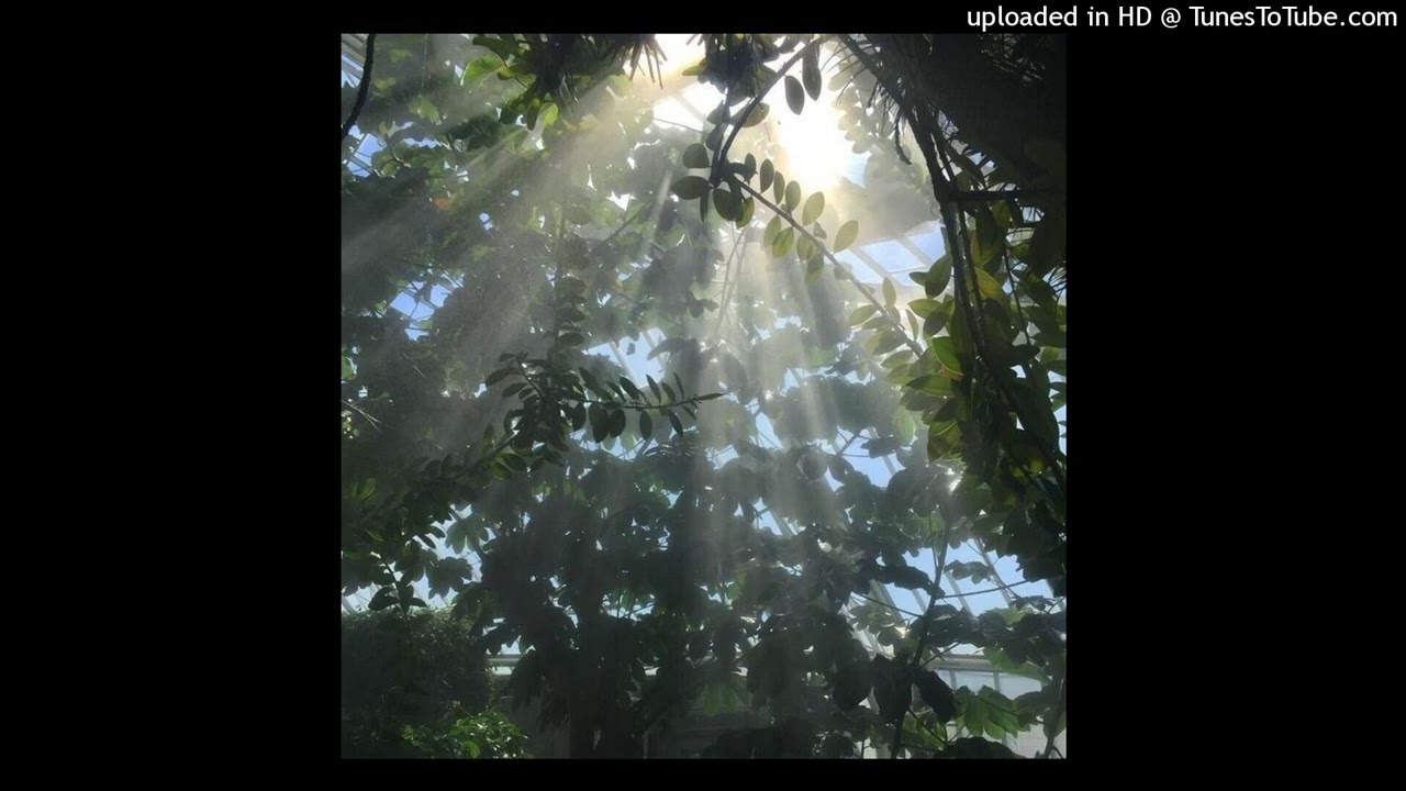 ♪ FREE ♪ Sean Potter + KiraTV + Nostalgic type beat 