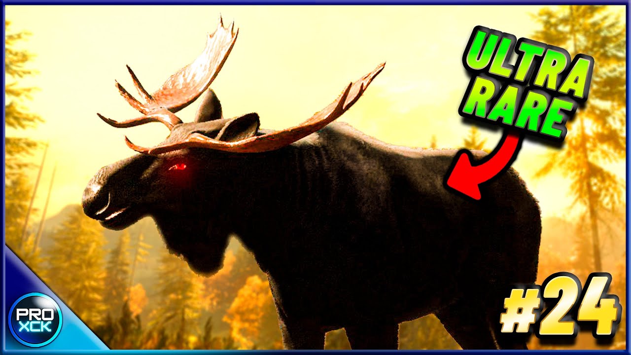 MELANISTIC Moose and More Diamonds in theHunter Call of the Wild