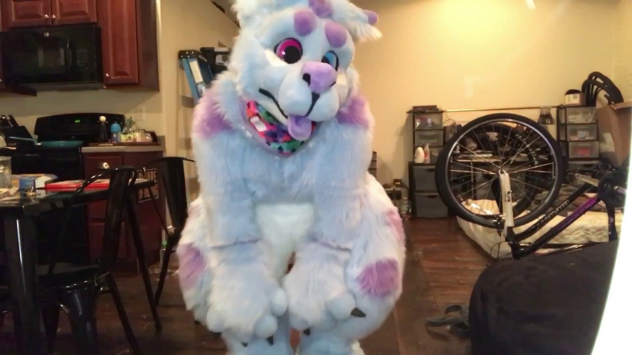 TRIPPY THE DOG ! (Suit up video)