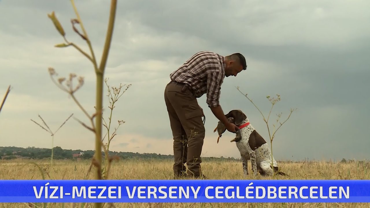 Vízi-mezei verseny Ceglédbercelen
